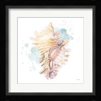 Salento Coast IV Framed Print