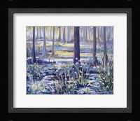 Blue Bayou Swamp Framed Print
