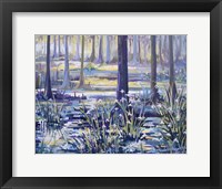 Blue Bayou Swamp Framed Print