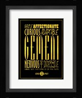Gemeni Framed Print
