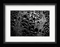 Abstract Droplets 15 Fine Art Print
