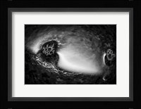 Fabulous Little Creatures 15 Fine Art Print