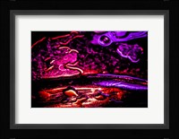 Fairy Tale 02 Fine Art Print