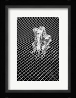 Fountain Fine Art Print