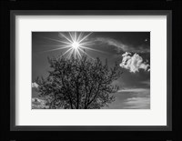 Painted on Sky Fine Art Print