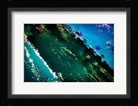 Painted on Water 03 Fine Art Print