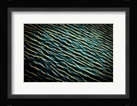 Painted on Water 07 Fine Art Print