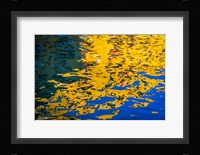 Reflection 03 Fine Art Print