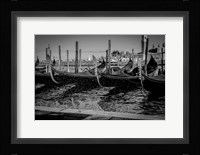 Row of Gondolas 02 Fine Art Print