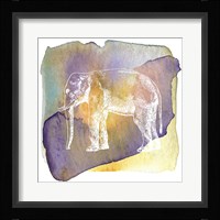 Color Spot Safari Animals Elephant Framed Print