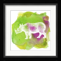 Color Spot Safari Animals Rhino Framed Print