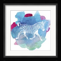 Color Spot Safari Animals Zebra Framed Print