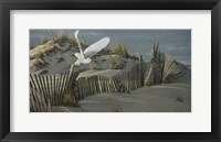 Launch - Snowy Owl Fine Art Print