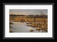 Muskrat Marsh Fine Art Print