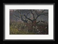 Old Orchard and Pheasant Fine Art Print