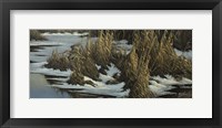 Snipe Flight Fine Art Print