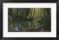 Woodland Creek Fine Art Print
