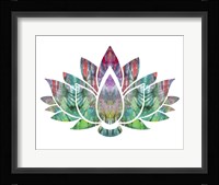 Lotus Fine Art Print