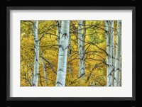 Chaotic Beauty Fine Art Print