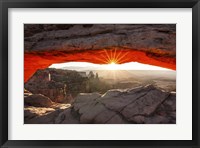 Eye Of The Beholder Framed Print