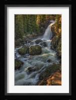 Falling For You Fine Art Print