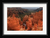 Illumination Fine Art Print