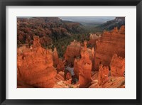 Illumination Fine Art Print