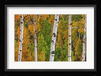 Lines Of Grace Framed Print