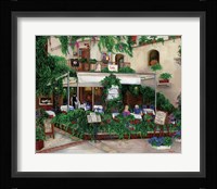 A View from the Balcony Framed Print