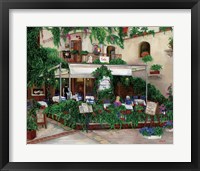 A View from the Balcony Framed Print