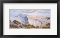 Northern Visitor Fine Art Print
