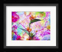 Garden Of Flowers M8A Fine Art Print