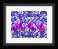 Purple Tulips Fine Art Print