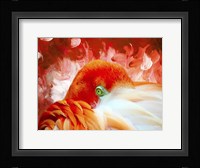 Red Flamigo Fine Art Print