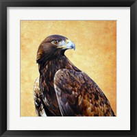 Eagle King Fine Art Print