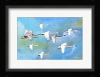 Fly Far Away 2 Fine Art Print