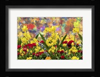 My Garden Fine Art Print