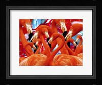 Red Flamingo Family Fine Art Print