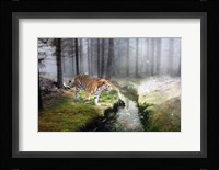Forest King 2 Fine Art Print