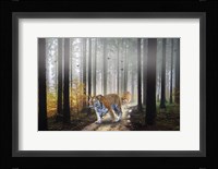 Forest King Fine Art Print