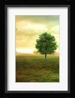 Lone Green Tree Fine Art Print