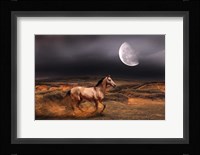 Nature S20 Fine Art Print