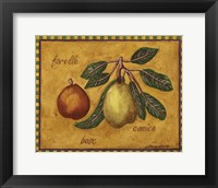 Pears Forelle Bosc Comice Fine Art Print