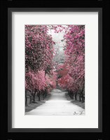 Cotton Candy Walk Fine Art Print