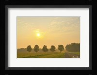 Country Morning Glow Fine Art Print