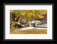 Autumn Snow Fine Art Print