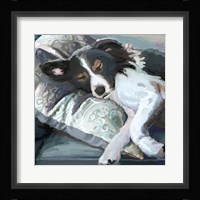 Couch Collie Fine Art Print