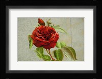 Red Rose Painted on Wooden Panel Fine Art Print