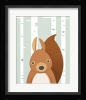 Squirrel Framed Print
