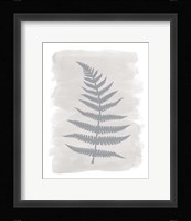 Fern2 F Framed Print